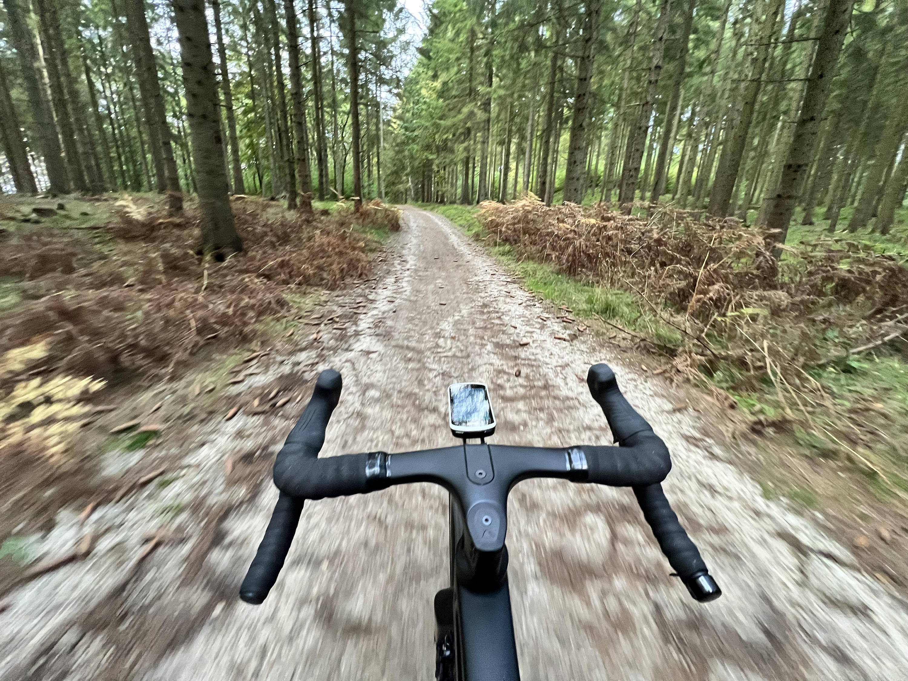 IMG 3277 3000Px 72Dpi